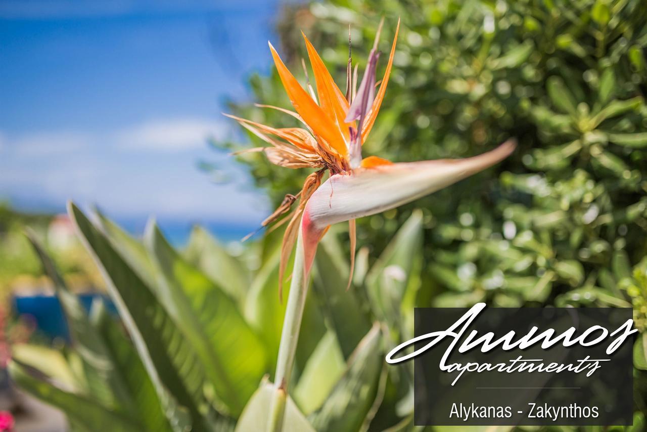 Ammos Apartments Alykanas  Bagian luar foto